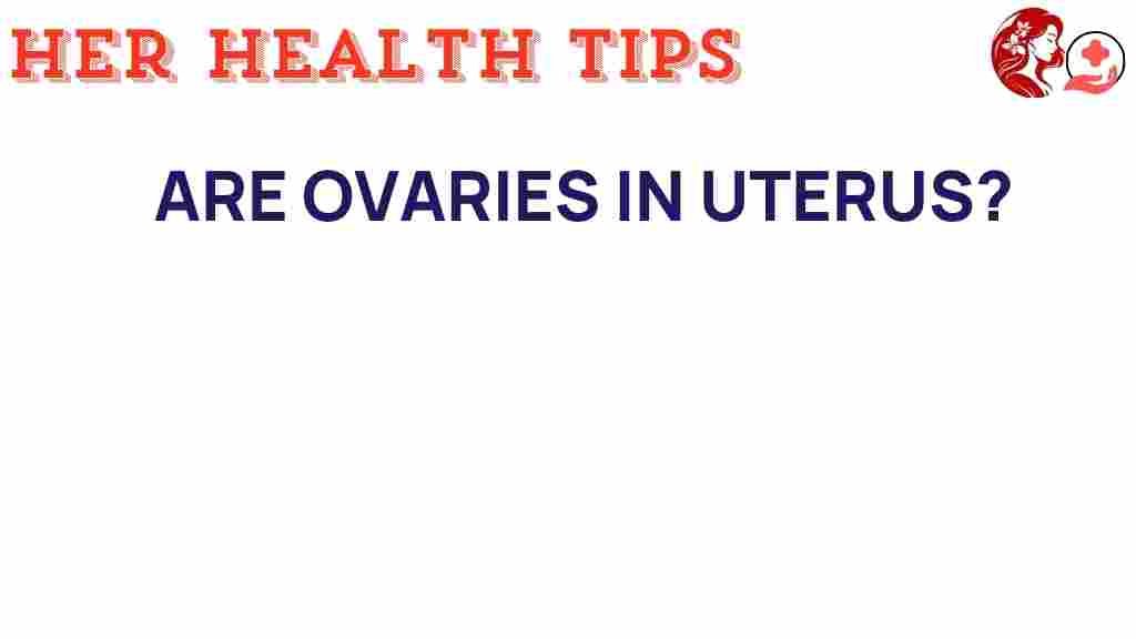 ovaries-in-uterus