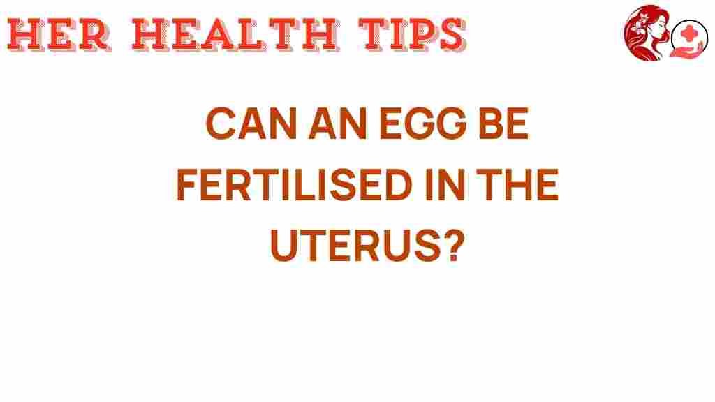 fertilization-in-the-uterus