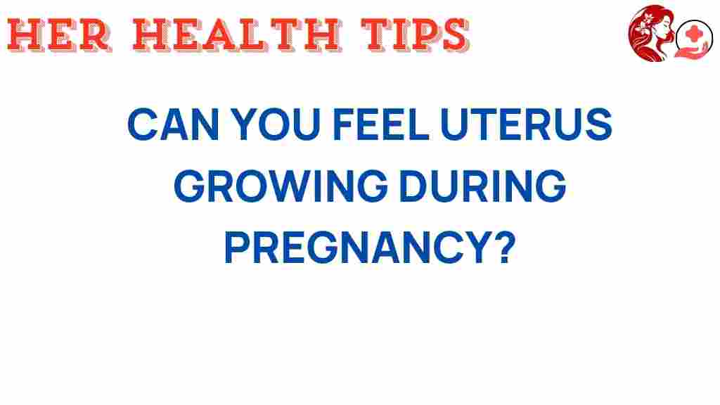 uterus-growing-pregnancy