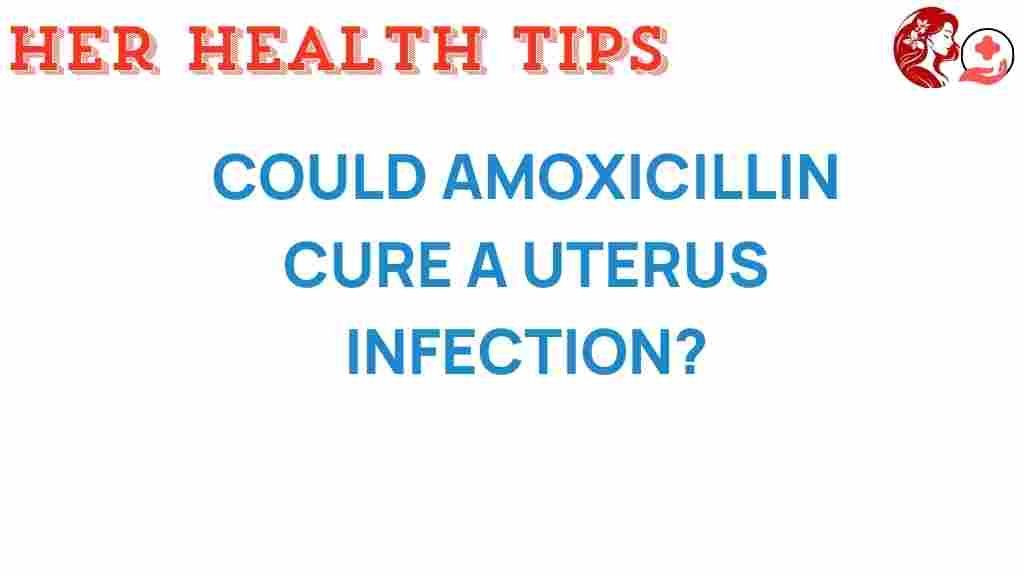 can-amoxicillin-cure-a-uterus-infection