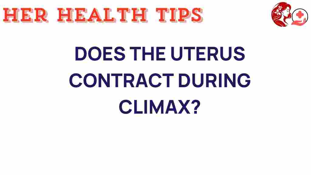 uterine-contractions-climax
