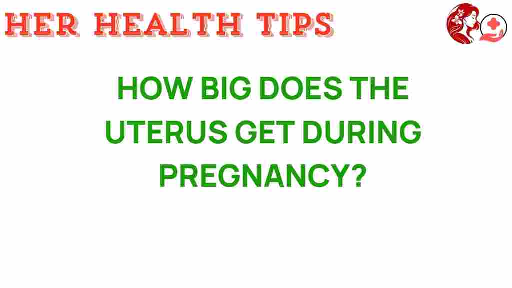 uterus-growth-during-pregnancy