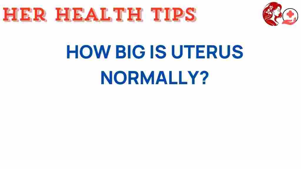 how-big-is-uterus-normally