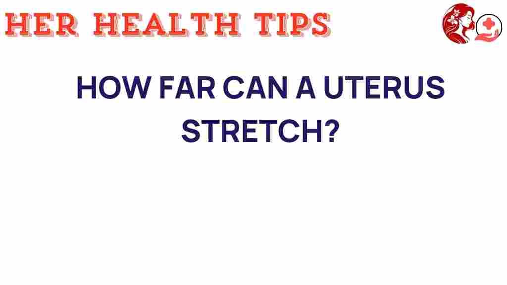uterus-stretch-pregnancy