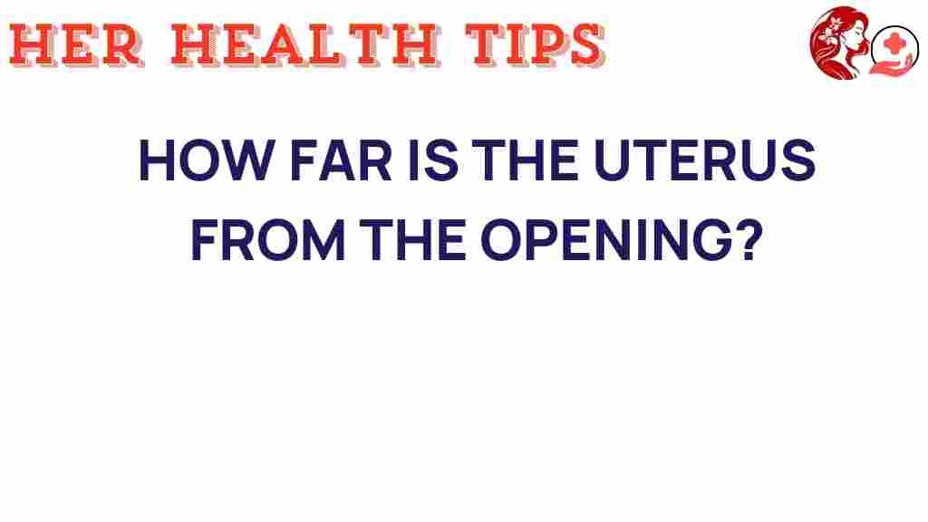 uterus-distance-opening