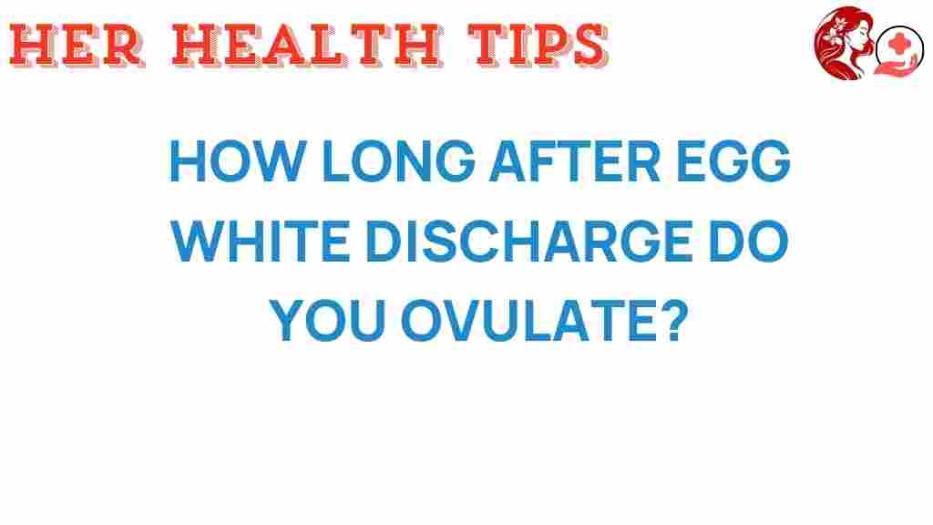 ovulation-timing-after-egg-white-discharge