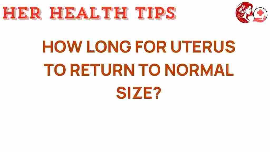 uterus-recovery-timeline