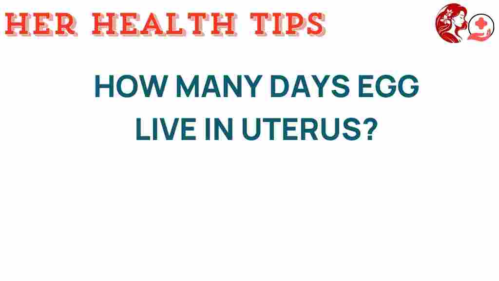 egg-lifespan-uterus