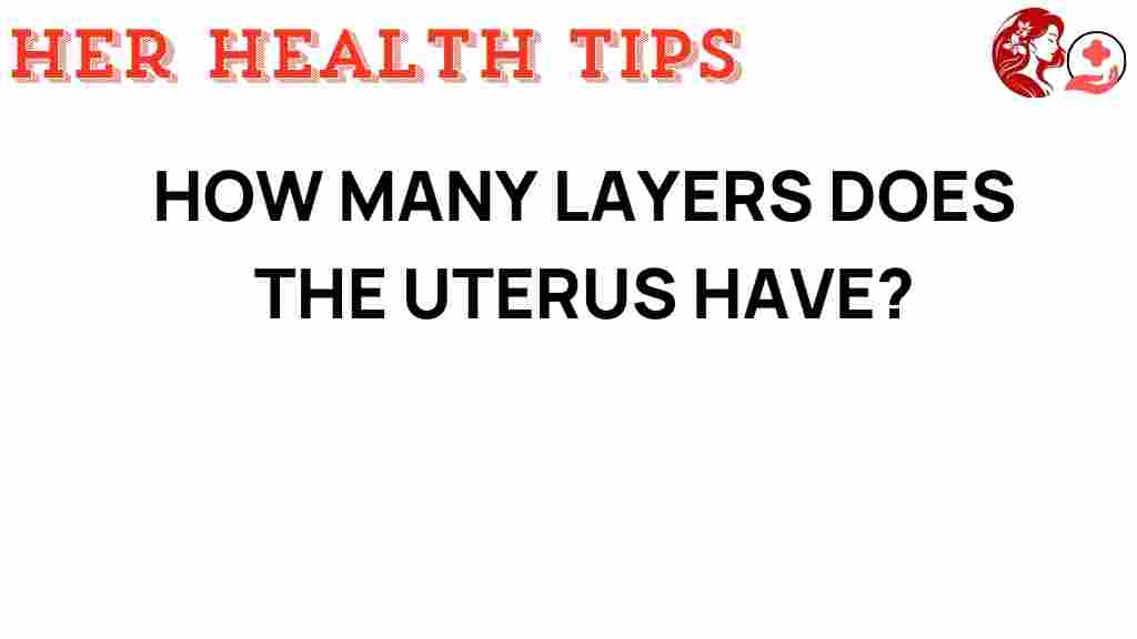 how-many-layers-uterus