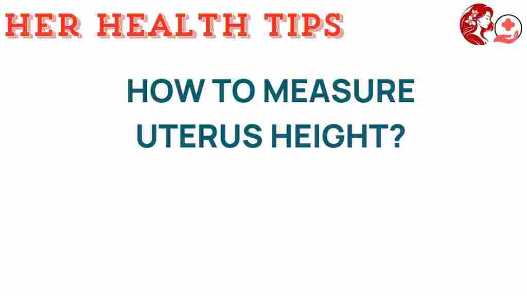 uterus-height-measurement