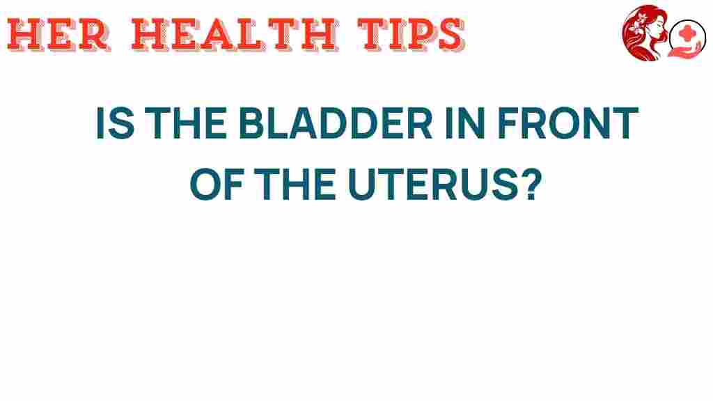 bladder-anatomy-uterus-position