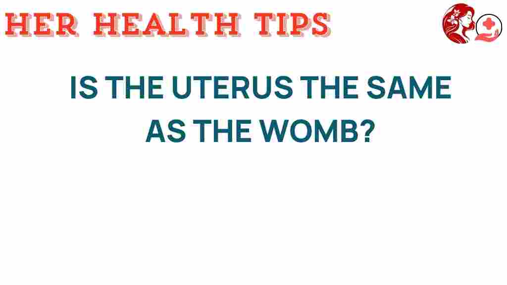 uterus-vs-womb-mystery