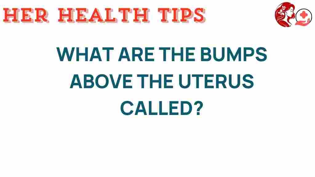 bumps-above-uterus