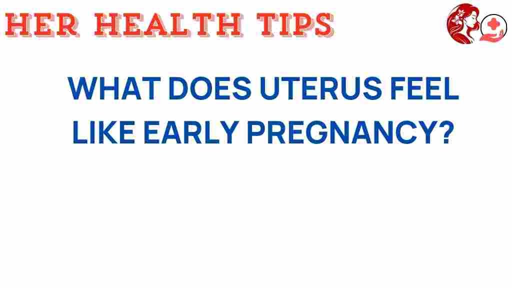 uterus-sensation-early-pregnancy