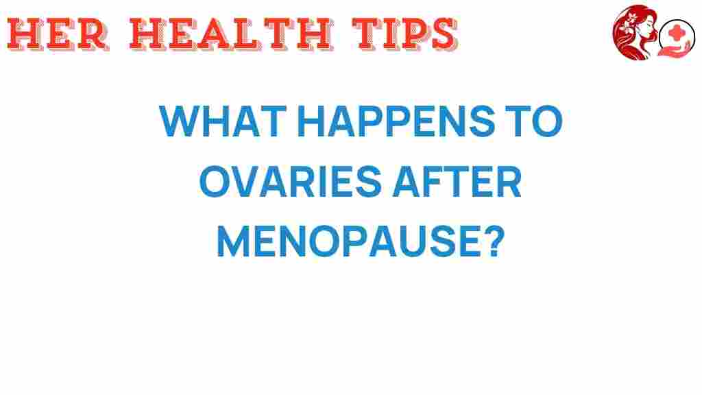 ovaries-after-menopause