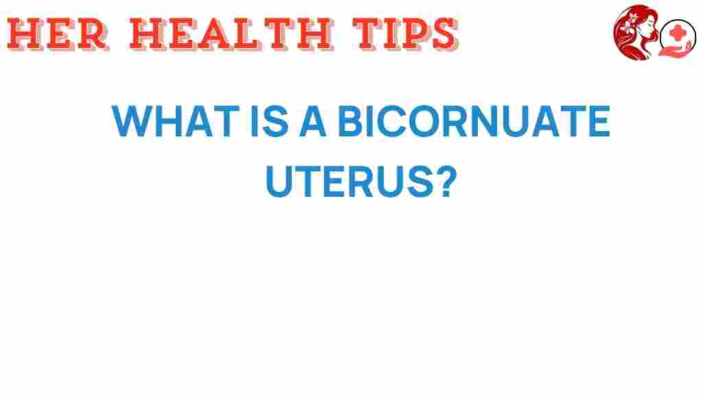 bicornuate-uterus