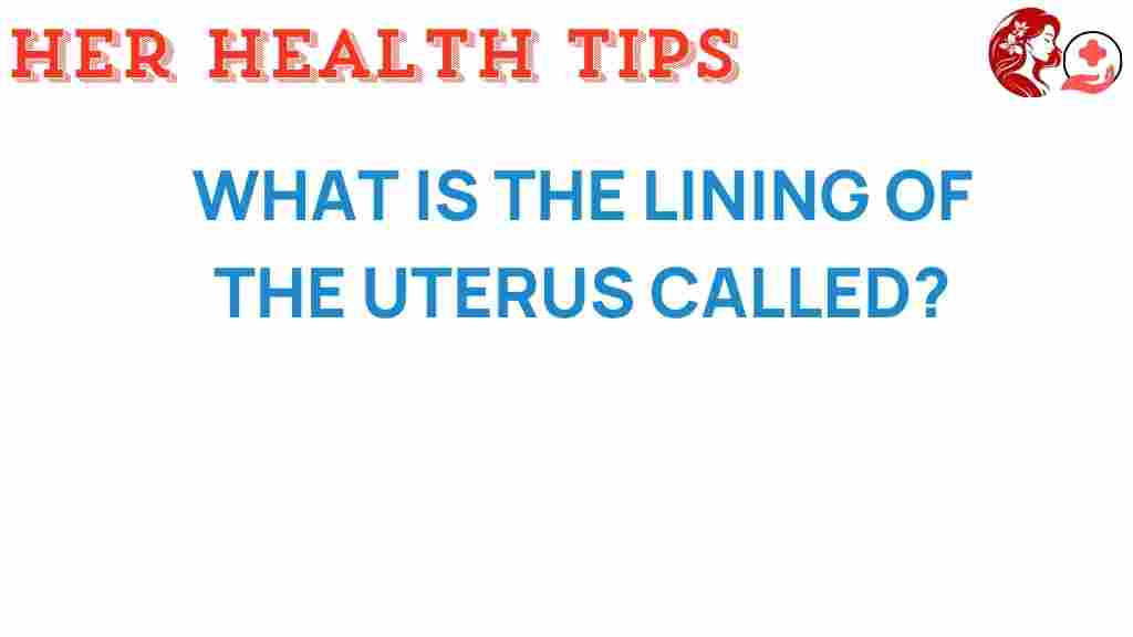 uterus-lining-endometrium