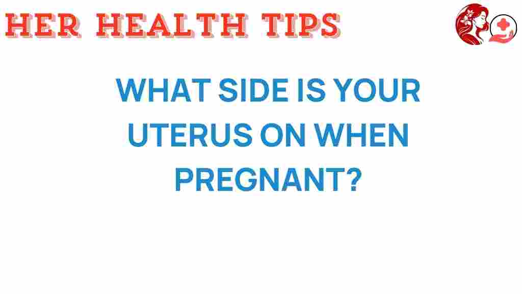 uterus-position-pregnancy