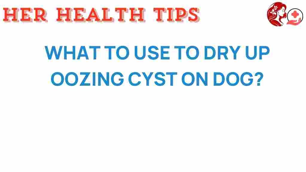 oozing-cysts-dogs-remedies