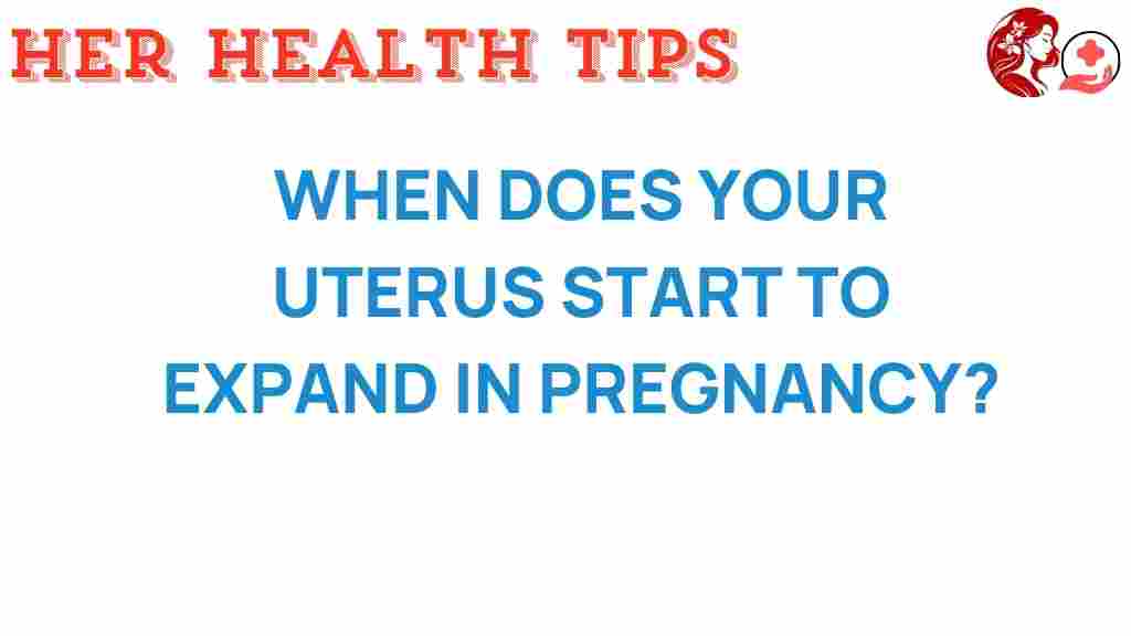 uterus-expansion-pregnancy-timeline