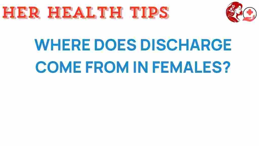 female-discharge-origins