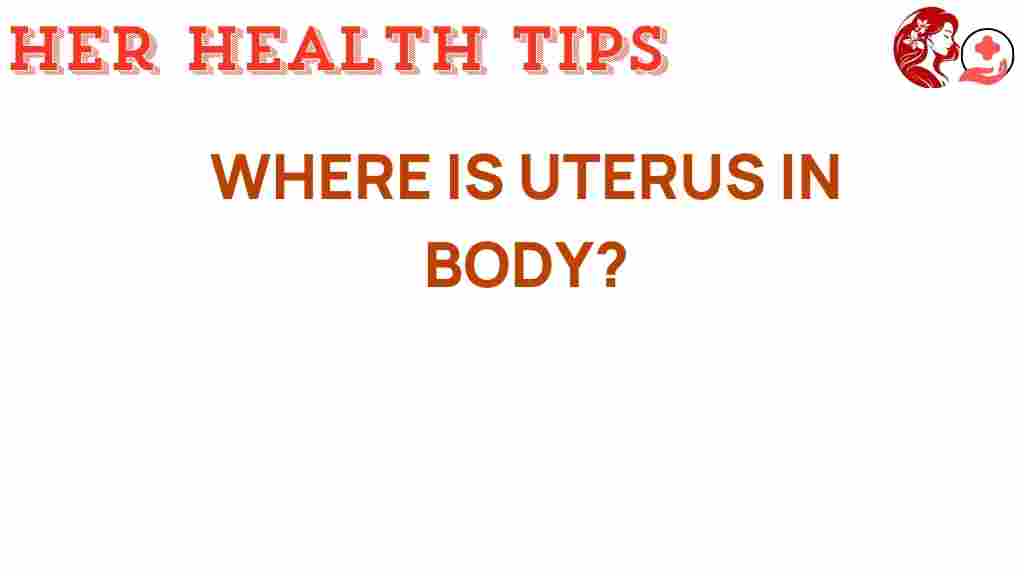 where-is-uterus-in-body