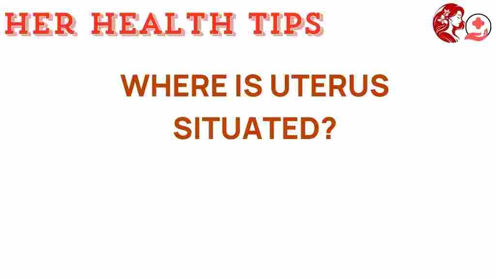 where-is-uterus-situated