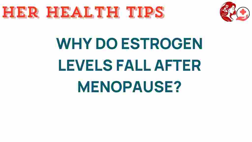 estrogen-levels-after-menopause